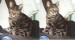 Thumbs/tn_Sterne 015.jpg